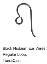 Load image into Gallery viewer, Earring Upgrade (sterling silver, gold-filled, or niobium)