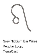 Load image into Gallery viewer, Earring Upgrade (sterling silver, gold-filled, or niobium)
